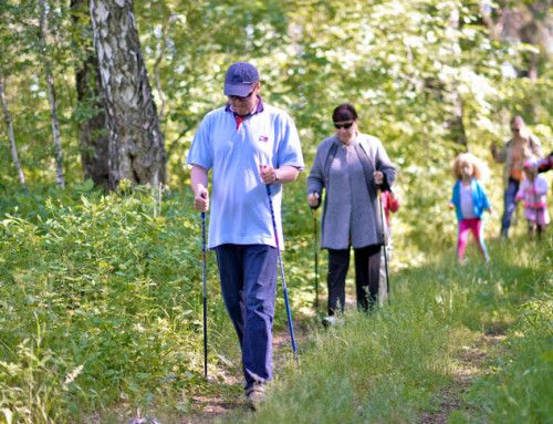 Скандинавская ходьба: гуляем по лесу и лечимся